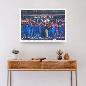 Team India Celebration T20 World Cup Trophy Frame (T20 World Cup 2024)